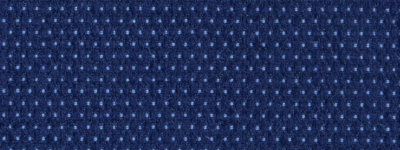 0161-9700